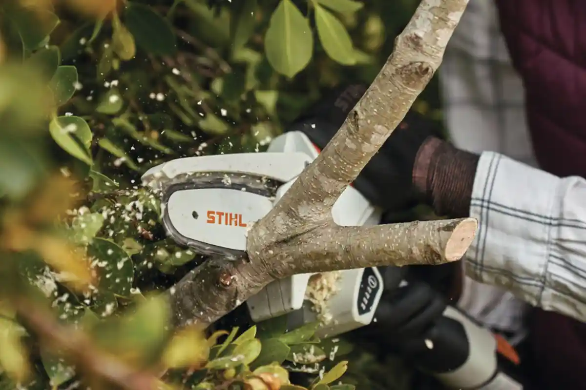 przycinanie-galezi-pilarka-stihl-krok-po-kroku-gta-26