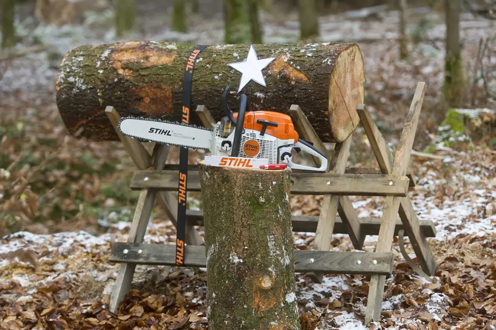 wycinanie gwiazdy z pnia drzewa