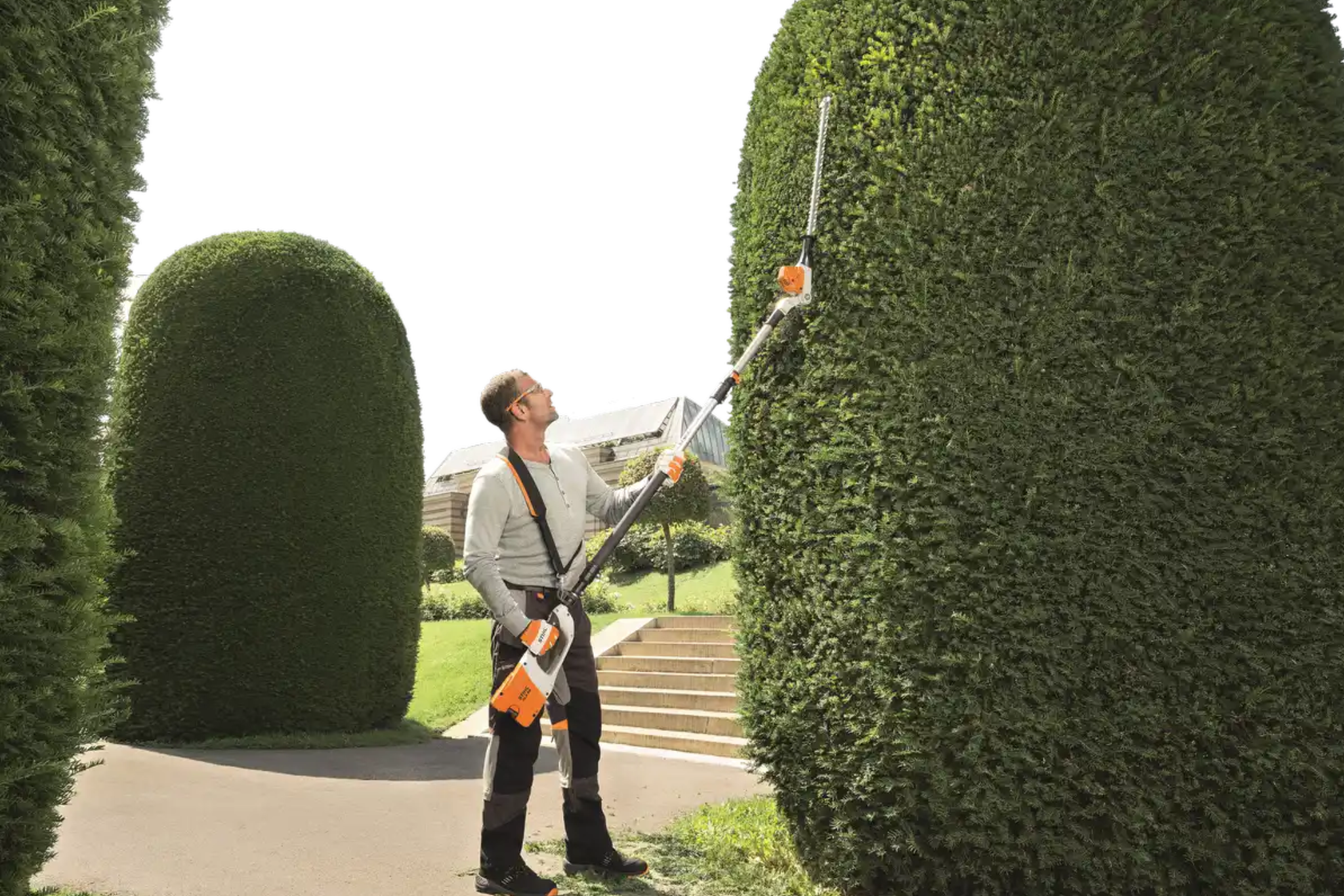 Kiedy i jak ciąć żywopłot? Poradnik przycinania żywopłotu