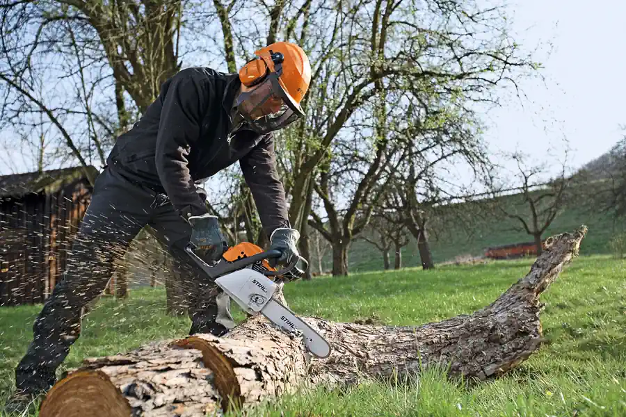Jak wybrać profesjonalną pilarkę łańcuchową?