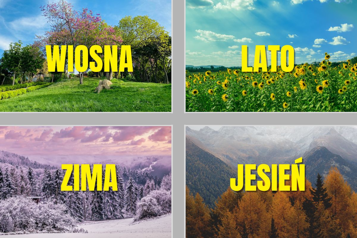 Kalendarz prac ogrodowych – co robić miesiąc po miesiącu ?