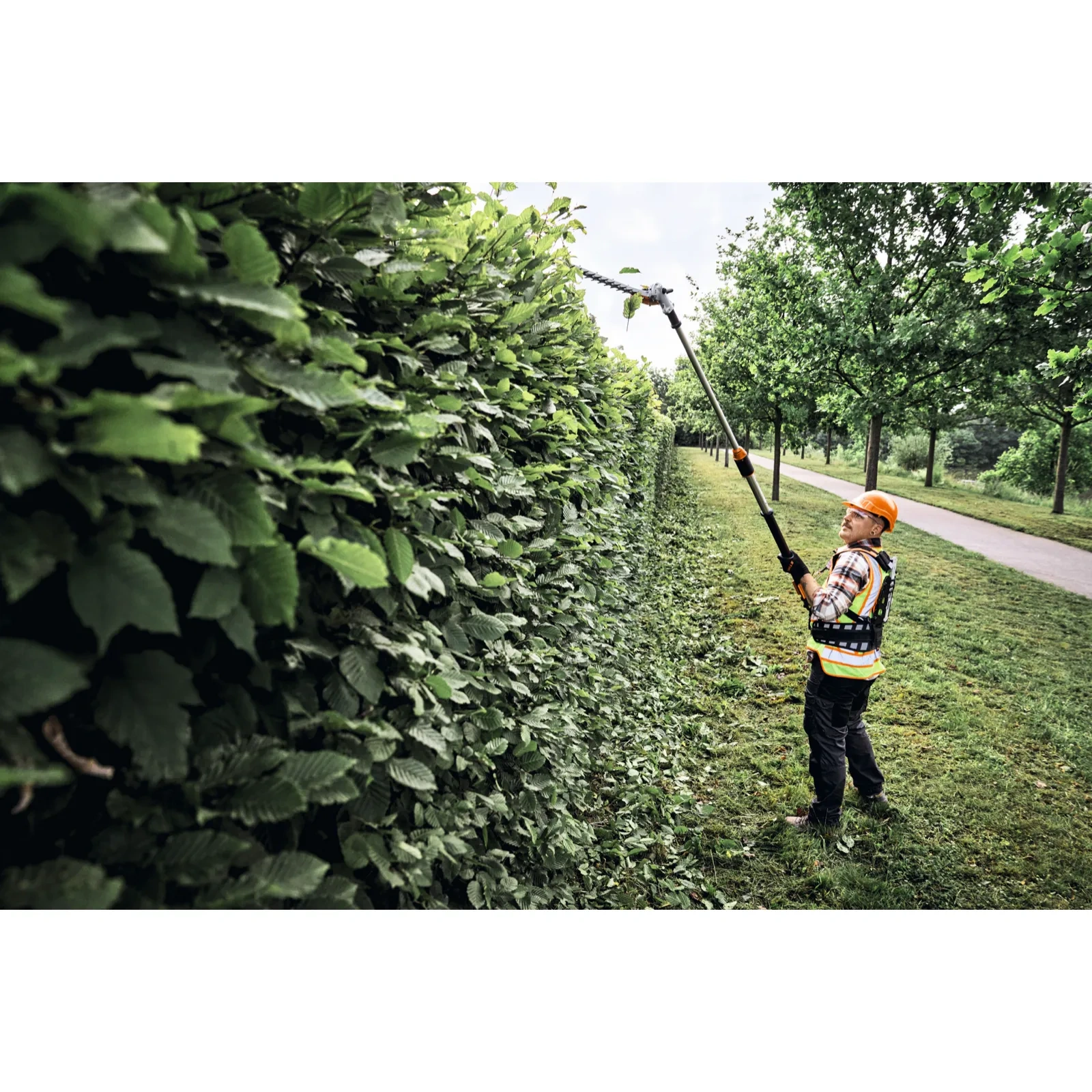 Operator przycina wysoki żywopłot teleskopowymi nożycami STIHL HLA 150