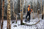 Zestaw leśny ADVANCE X-TREEm HT STIHL – ergonomiczne wsparcie dla profesjonalistów