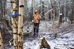 Zestaw leśny ADVANCE X-TREEm HT STIHL – ergonomiczne wsparcie dla profesjonalistów