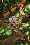 STIHL HTA 30 zestaw, podkrzesywarka akumulatorowa
