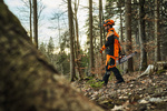STIHL ADVANCE ShellTEC – Kurtka Robocza Techniczna, Wodoodporna i Oddychająca
