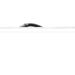 PROFI P45C.40MFE odkurzacz przemysłowy