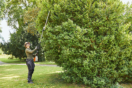 STIHL HLA 135 - Nożyce akumulatorowe na wysięgniku  z systemem AP. dł. 249 cm
