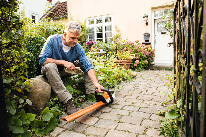 STIHL HSA 45, Nożyce akumulatorowe