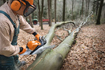 STIHL MS 391 – pilarka spalinowa, prowadnica 40 cm, RM