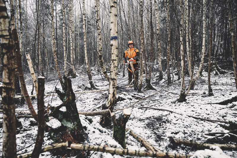 STIHL HTA 150, podkrzesywarka akumulatorowa 3/8" 30 cm, PM3 1,1mm