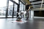 Karcher SZOROWARKA JEDNOTARCZOWA BDS 43/ Orbital C