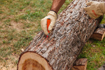 STIHL Marker PRO zielony - kreda do znakowania drewna