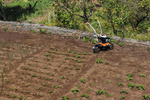 Stihl glebogryzarka MH 685 1 V / 1 R o szerokości roboczej 85 cm.