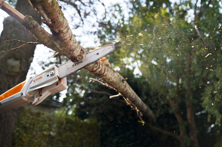 Stihl Podkrzesywarka HTA 50 PM3 [ 36 V] Prowadnica: 25 cm 1/4