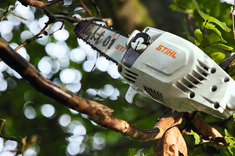 STIHL HTA 86 – podkrzesywarka akumulatorowa, prowadnica 30 cm, PM3 1,1 mm
