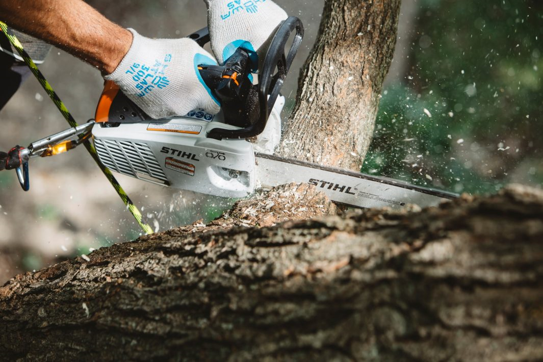 STIHL Pilarka spalinowa MS 194 T - komfort i bezpieczeństwo