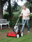 HONDA Wertykulator spalinowy TV 610
