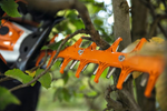Stihl Nożyce akumulatorowe do żywopłotów HSA 130 T [36 V] z systemem AP, listwa tnąca o dł. 75 cm.