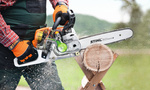 STIHL MS 231 – pilarka spalinowa, prowadnica 35 cm, RS Pro
