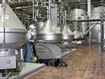 SILNY ŚRODEK CZYSZCZĄCY RM 750 ASF 10L KARCHER