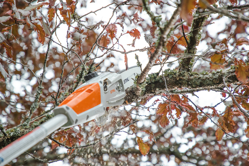 STIHL HTA 50, podkrzesywarka zestaw AK 20 + AL 101